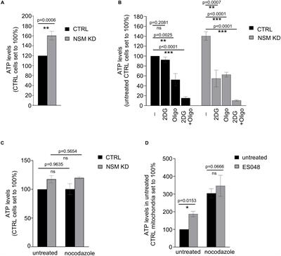 Neutral Sphingomyelinase-2 (NSM 2) Controls T Cell Metabolic Homeostasis and Reprogramming During Activation